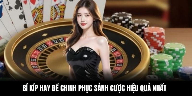 Bí kíp hay để chinh phục sảnh cược hiệu quả nhất