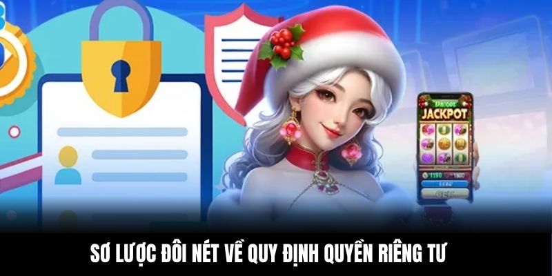 Sơ lược đôi nét về quy định quyền riêng tư 