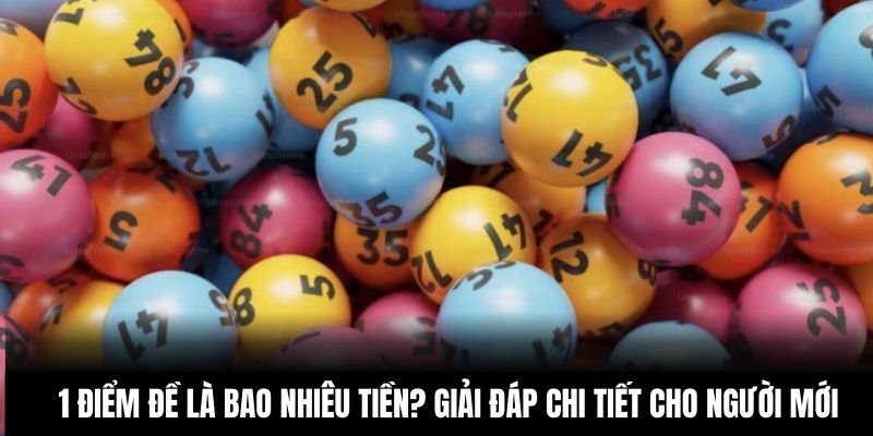 1 Điểm Đề Là Bao Nhiêu Tiền? Giải Đáp Chi Tiết Cho Người Mới