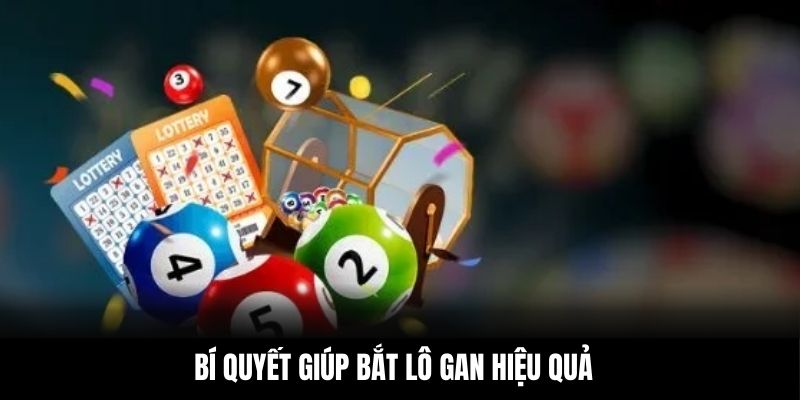 Bí quyết giúp bắt lô gan hiệu quả