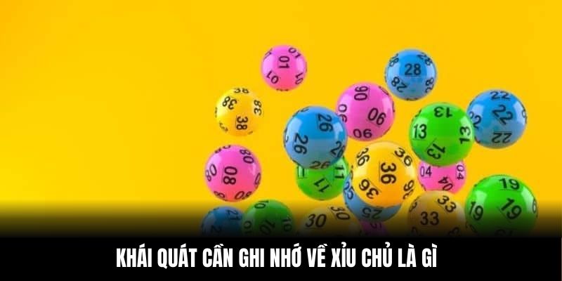 Khái quát cần ghi nhớ về xỉu chủ là gì