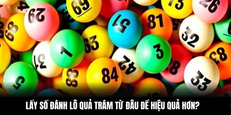 Lấy số đánh lô quả trám từ đâu để hiệu quả hơn? 