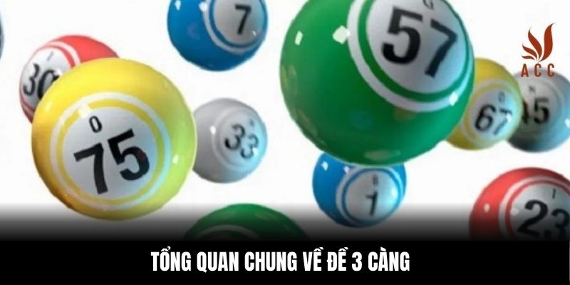 Tổng quan chung về đề 3 càng